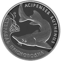 Стерлядь прісноводна - срібло, 10 гривень (2012)