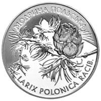 Модрина польська - срібло, 10 гривень (2001)