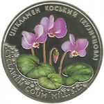 Cyclamen coum (Kuznetzovii), 2 uah (2014)